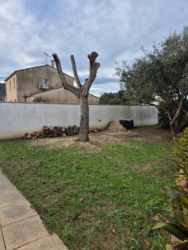 Débroussaillage d'un terrain