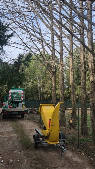 Abattage d'arbre dangereux par Arbochris