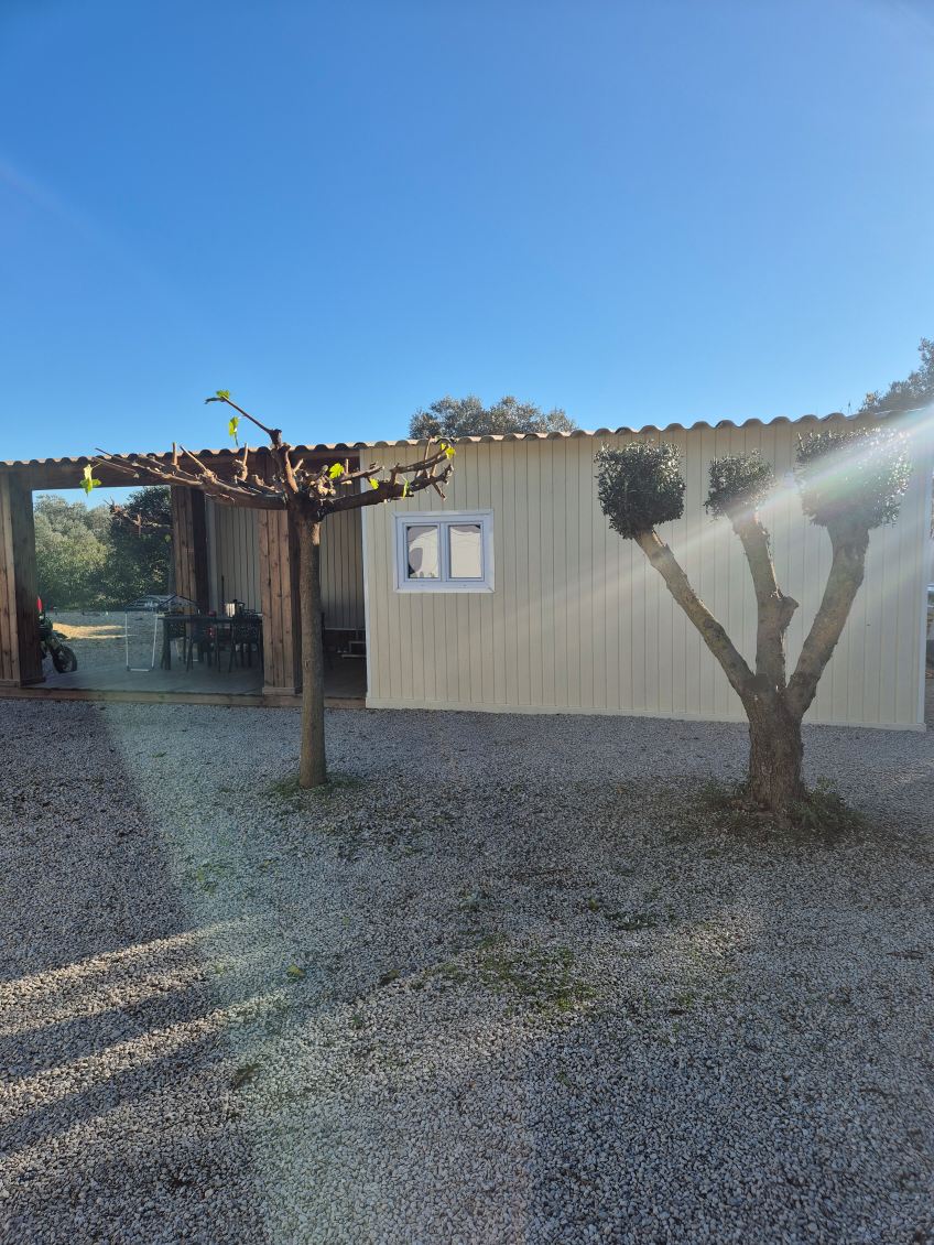 Taille de haie précise et soignée